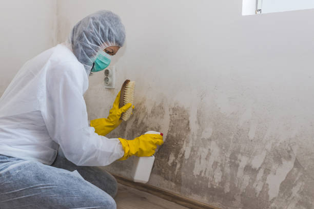 Best Mold Testing  in Center Point, TX