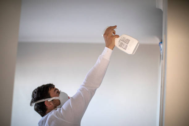 Best Fast Mold Removal  in Center Point, TX
