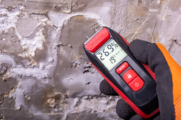 Best Office Mold Removal Services  in Center Point, TX
