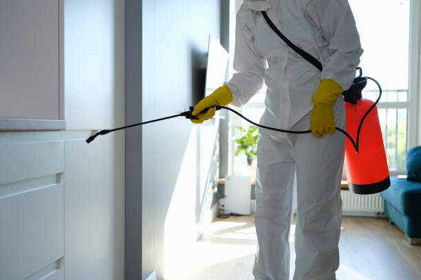 Best Home Mold Removal  in Center Point, TX