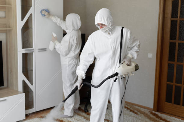 Best Crawl Space Mold Removal  in Center Point, TX