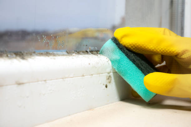 Best Mold Testing  in Center Point, TX
