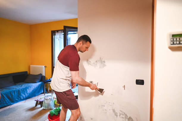 Best Affordable Mold Removal  in Center Point, TX