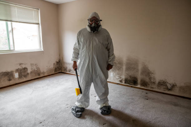 Best Emergency Mold Removal  in Center Point, TX